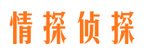 成武市婚外情调查